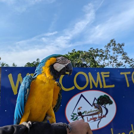 Rainforest Lodge Del Rio بورتو بيلو المظهر الخارجي الصورة