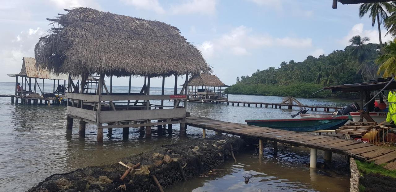 Rainforest Lodge Del Rio بورتو بيلو المظهر الخارجي الصورة