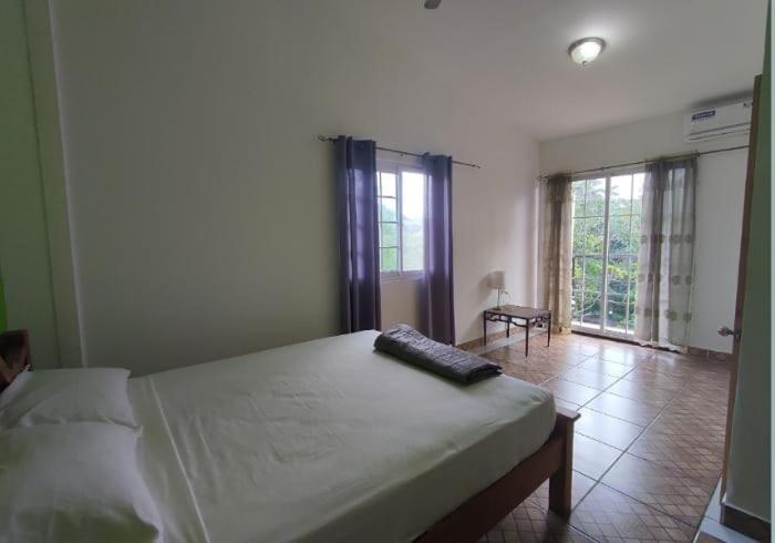 Rainforest Lodge Del Rio بورتو بيلو المظهر الخارجي الصورة