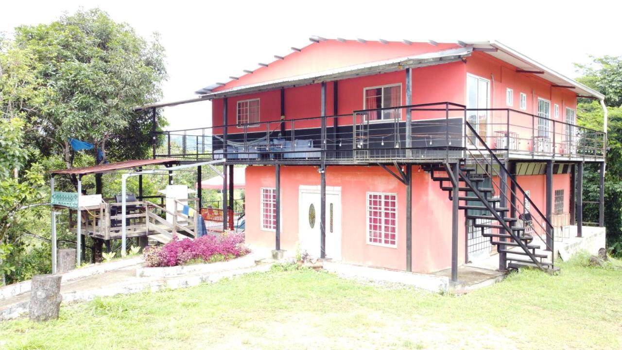 Rainforest Lodge Del Rio بورتو بيلو المظهر الخارجي الصورة
