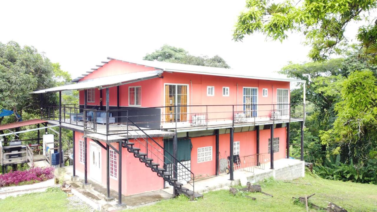 Rainforest Lodge Del Rio بورتو بيلو المظهر الخارجي الصورة