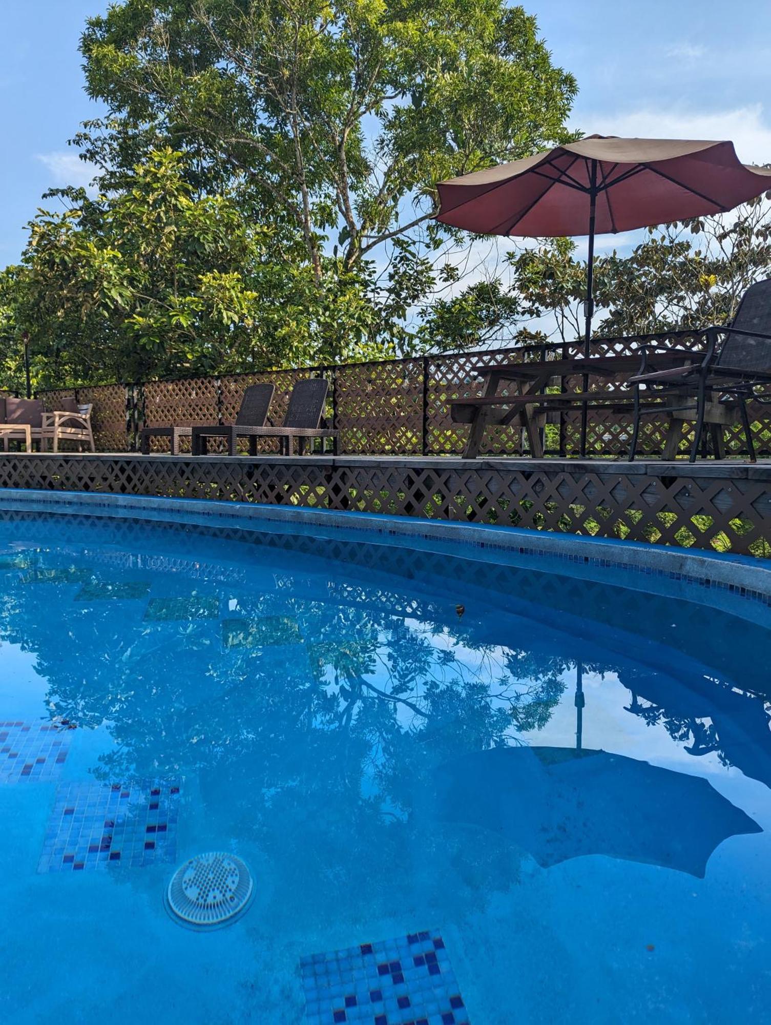 Rainforest Lodge Del Rio بورتو بيلو المظهر الخارجي الصورة