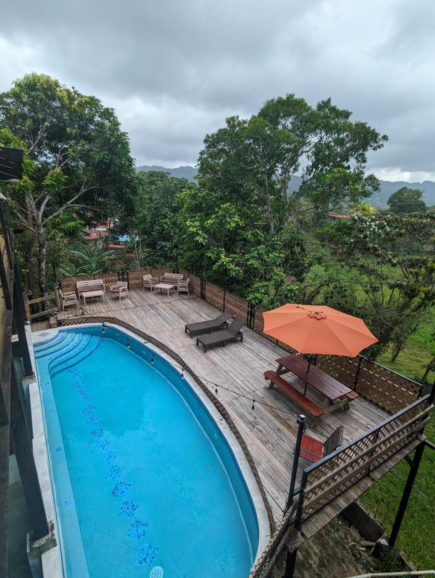 Rainforest Lodge Del Rio بورتو بيلو المظهر الخارجي الصورة
