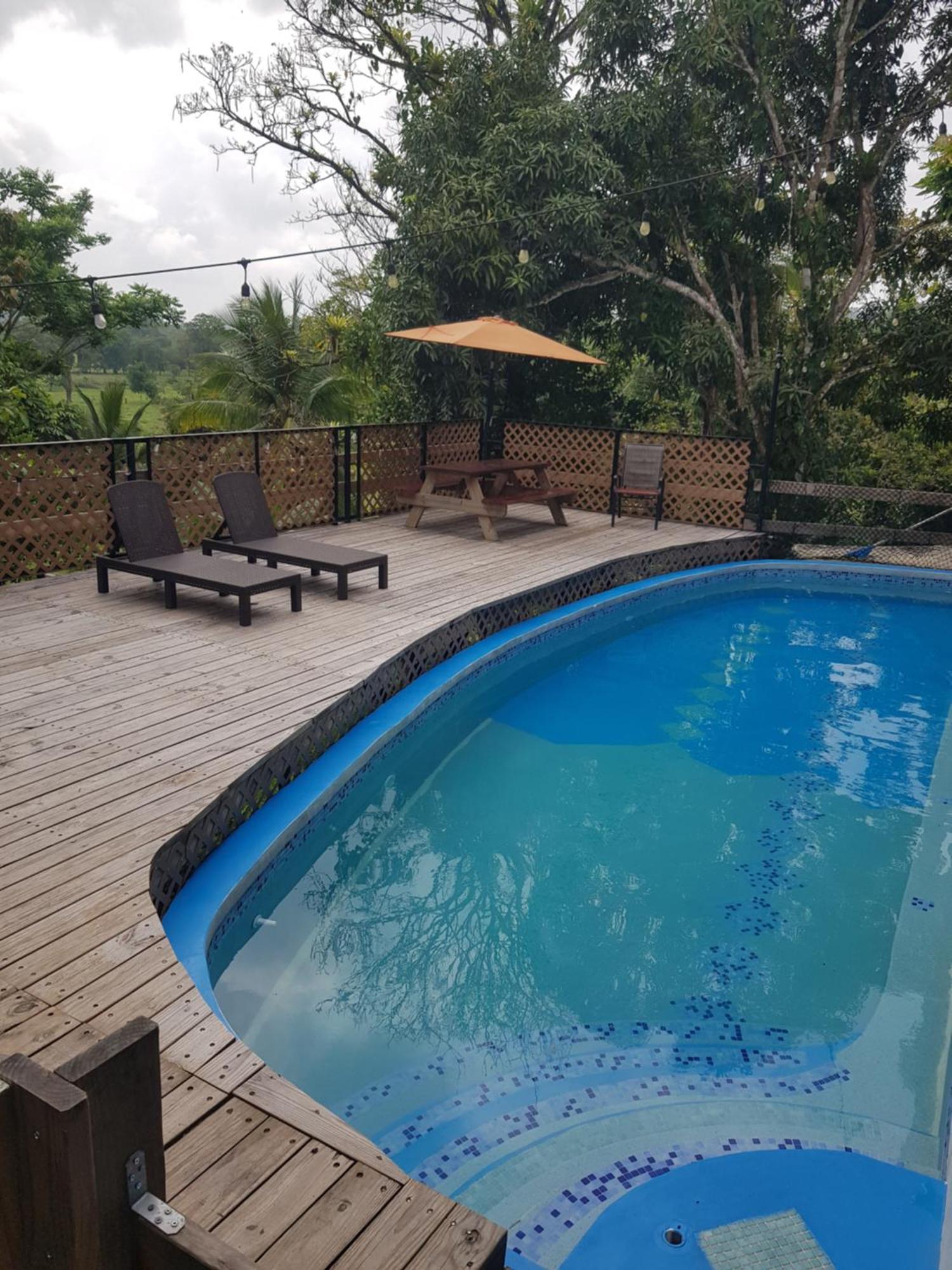 Rainforest Lodge Del Rio بورتو بيلو المظهر الخارجي الصورة