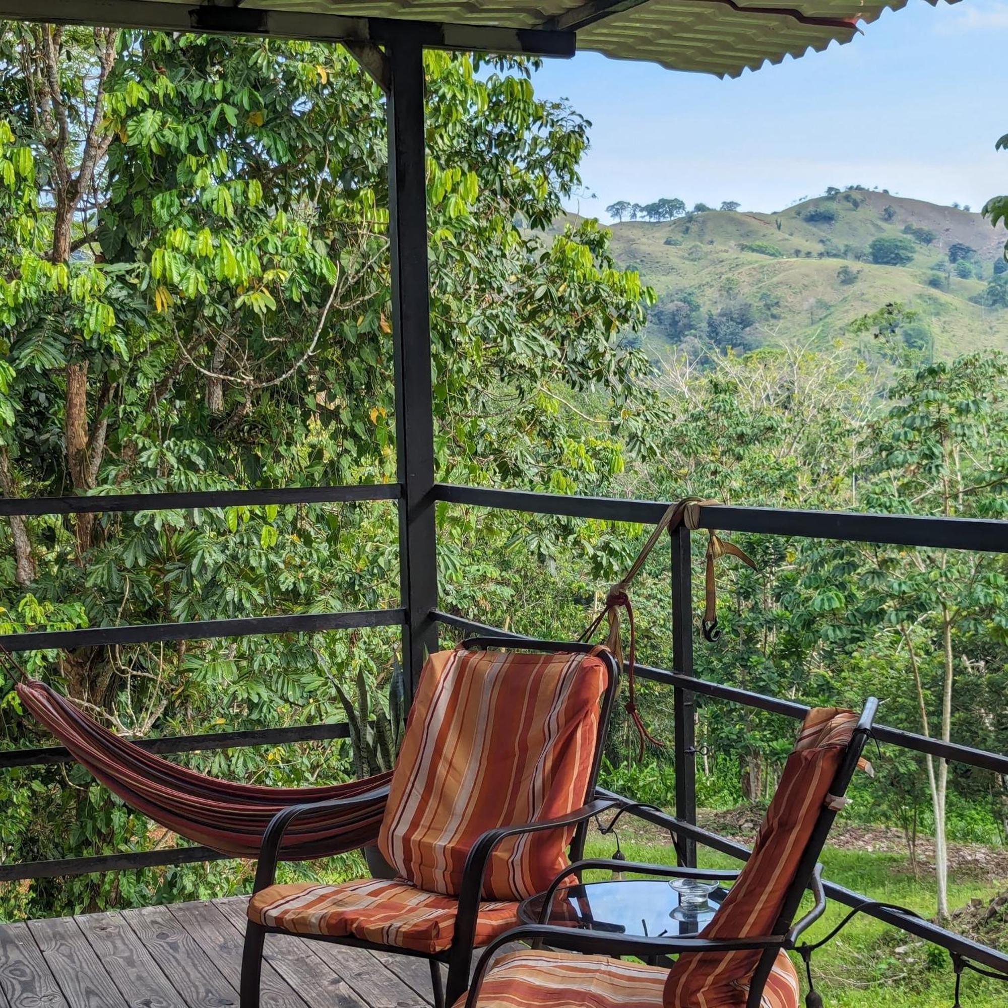 Rainforest Lodge Del Rio بورتو بيلو المظهر الخارجي الصورة